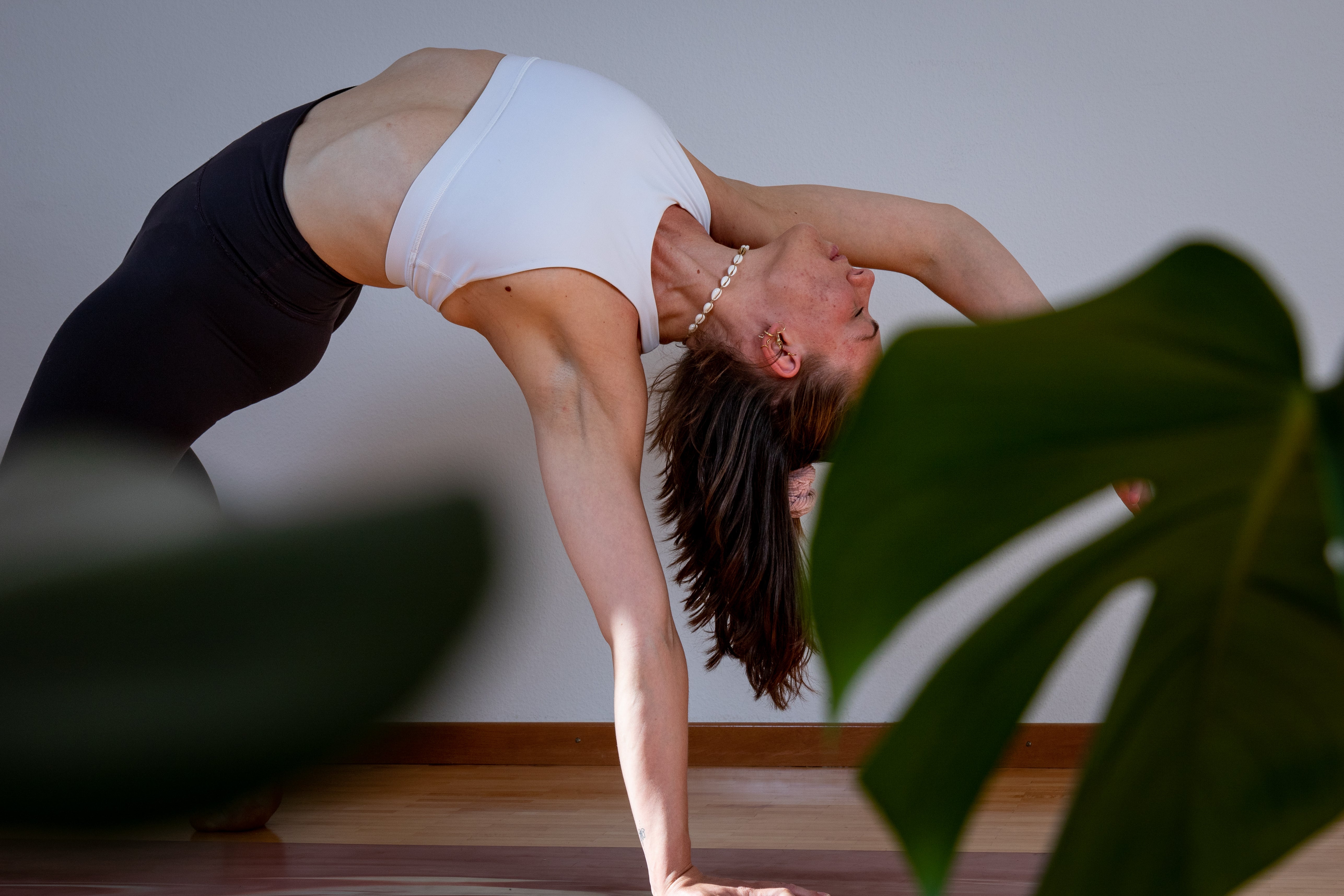 What is the difference between Hatha and Vinyasa yoga?